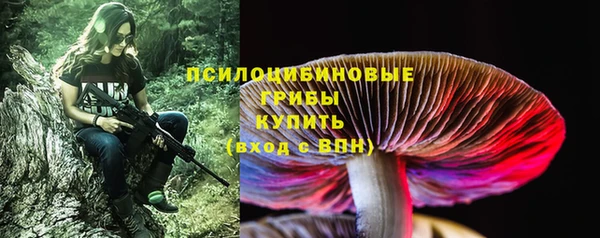 ALPHA-PVP Кодинск