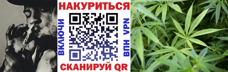 Купить где  Невель  Марихуана план 